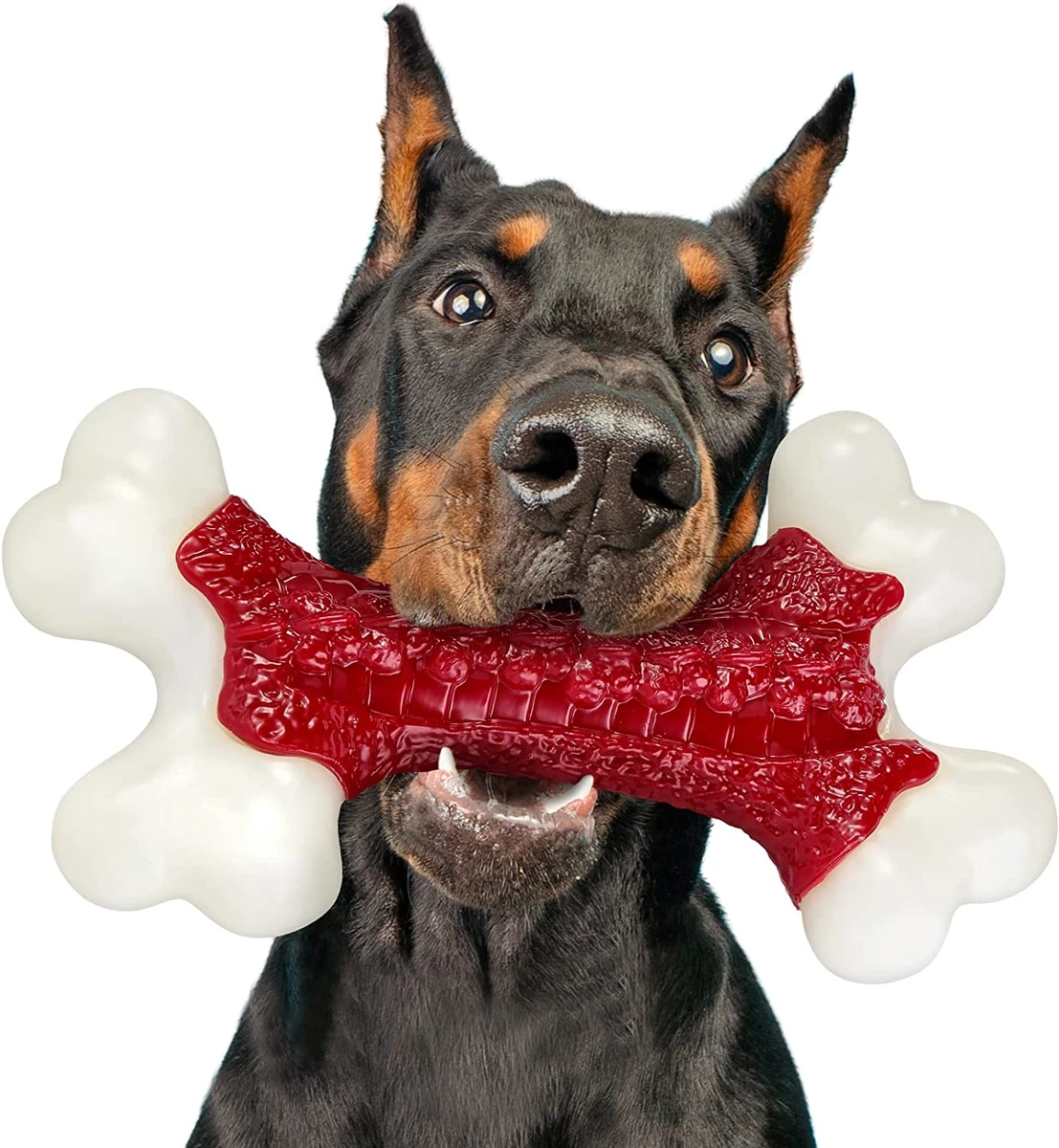 Large dog cheap chew toys