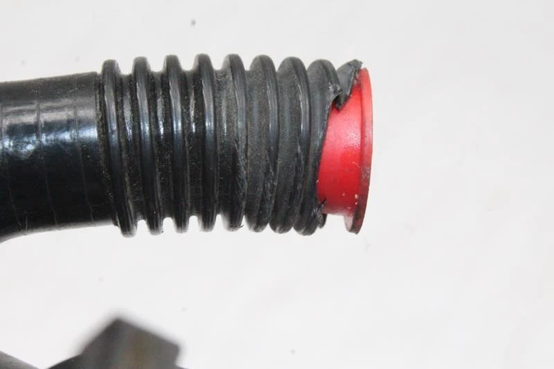 Lexus IS300 XE10 2002 sedán #227 bote de vapor de combustible Foto 4 de 4