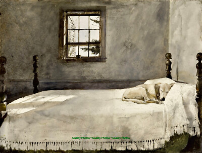 Master Bedroom 8.5x11'' Photo Print Newell Wyeth Sleeping Dog on the Bed Fine Art