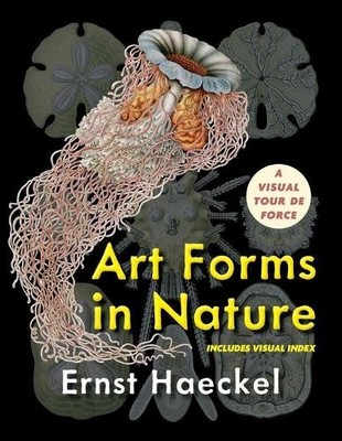 Ernst Haeckel Art Forms in Nature (Dover Pictorial Archive) (Taschenbuch)
