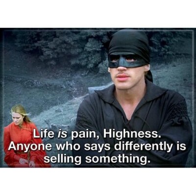 THE PRINCESS BRIDE LIFE IS PAIN ATA-BOY MAGNET NEW
