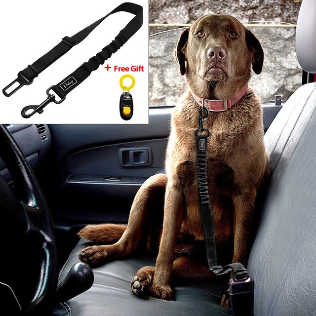 Dog Car Seat Belt Vehicle Bungee Universal Pet Travel Safety Restraint