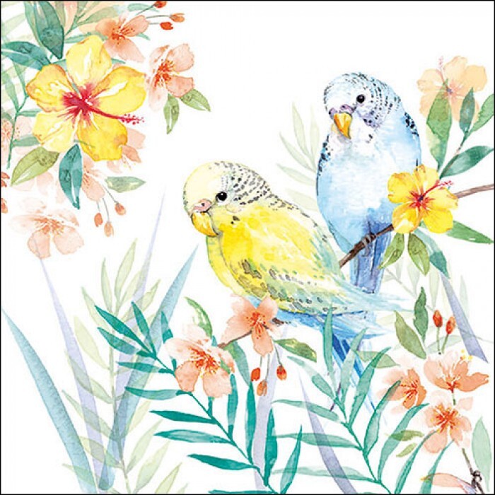 4 x Single Napkin/3-Ply/33cm/Decoupage/Tropical Flowers/Birds/Budgerigar/Budgies