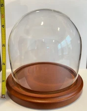 Plymor  4" wide x 4" tall Small Glass Display Dome with Walnut Veneer MDF Base !
