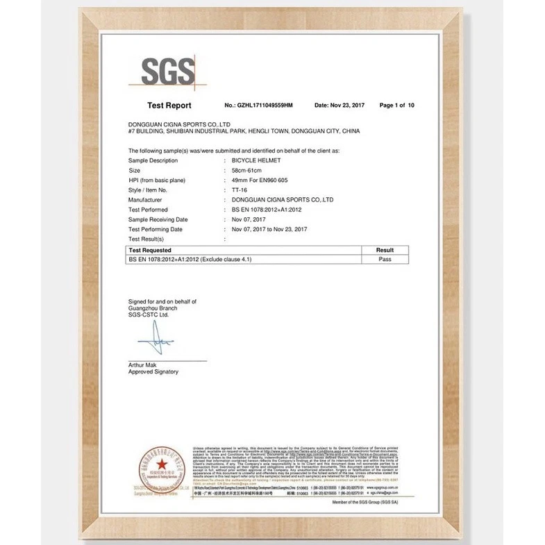 ROCKBROS Casco de Bicicleta para Adultos con Visera y Gafas para Casco de Bicicleta de Montaña Carretera Foto 2 de 4