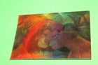 Bild 18 von 24
