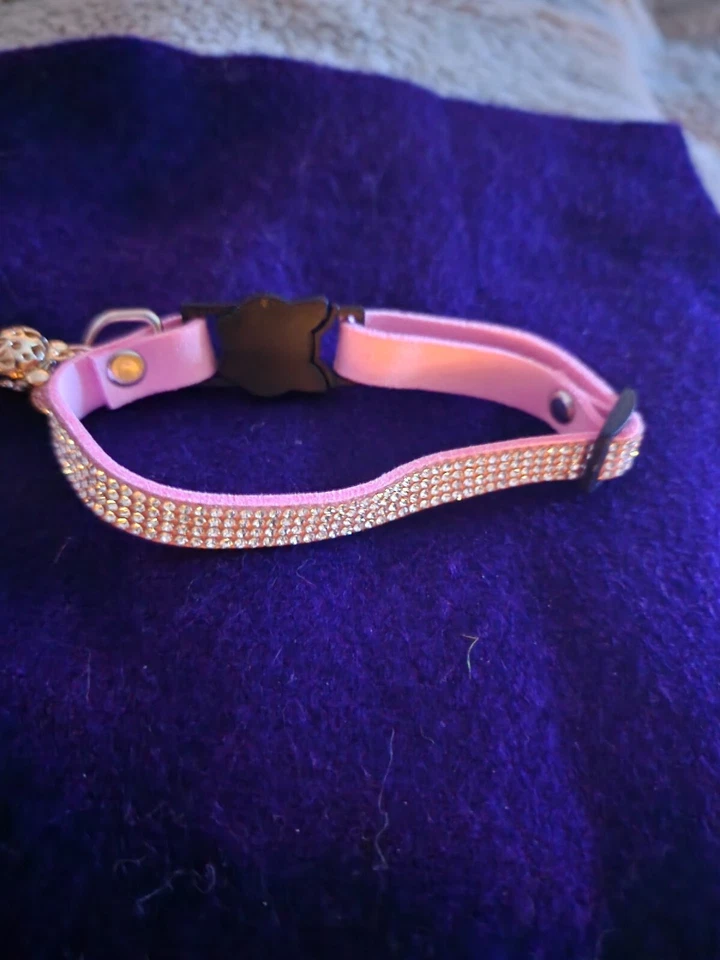 Collar brillante para joyas de gato/gatito, cuero, elige el color del cuello, nuevo, separable Foto 4 de 4