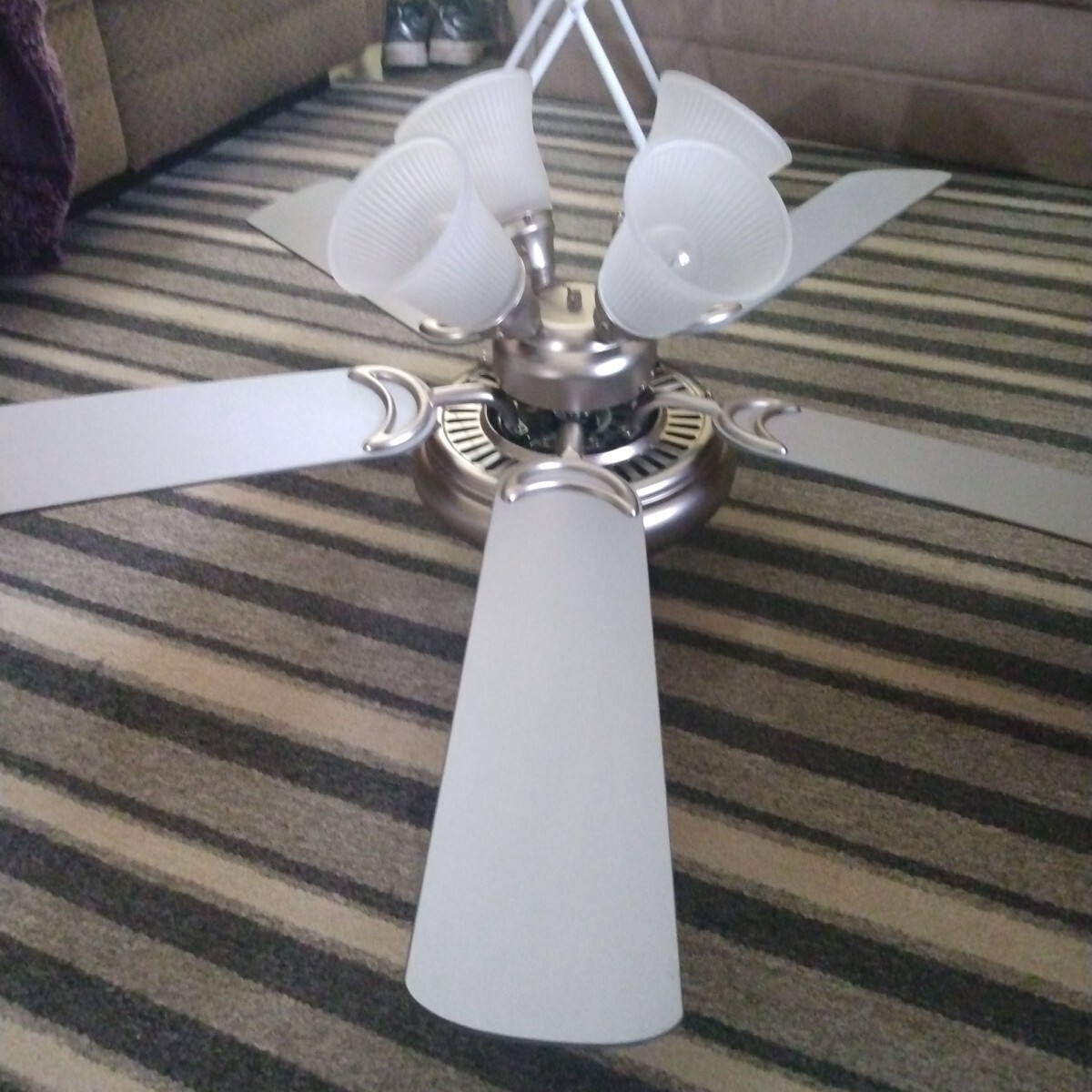 Picture 3 of 6