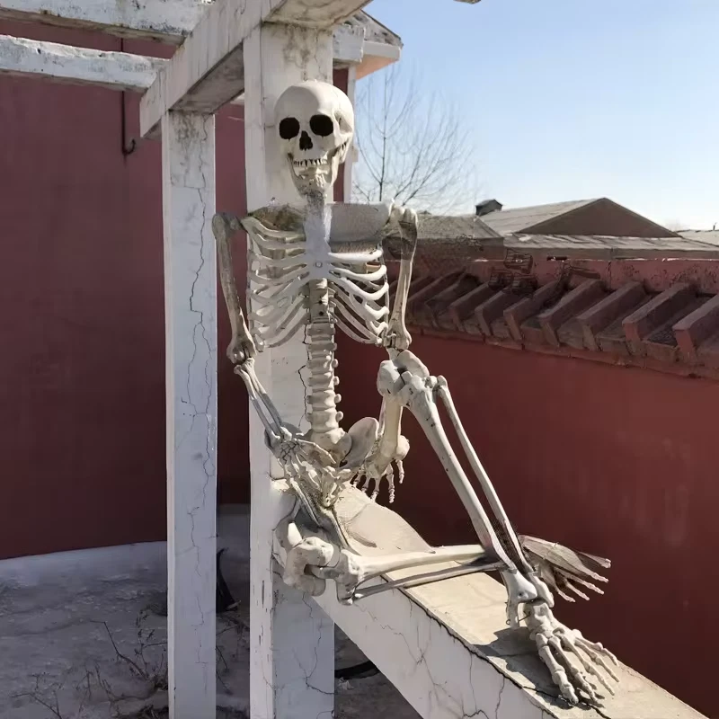 5.4FT Poseable Skeleton Prop Life Size Plastic Halloween Human Bones Skeleton 