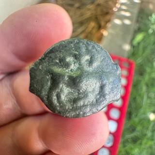 Bull and Fleur de Lys Gossip High/Medium Gaulish Coin Seine 2E3