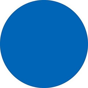 Labelmaster B4B Blank 4" Circle Paper Label, Blue (Pack of 500)