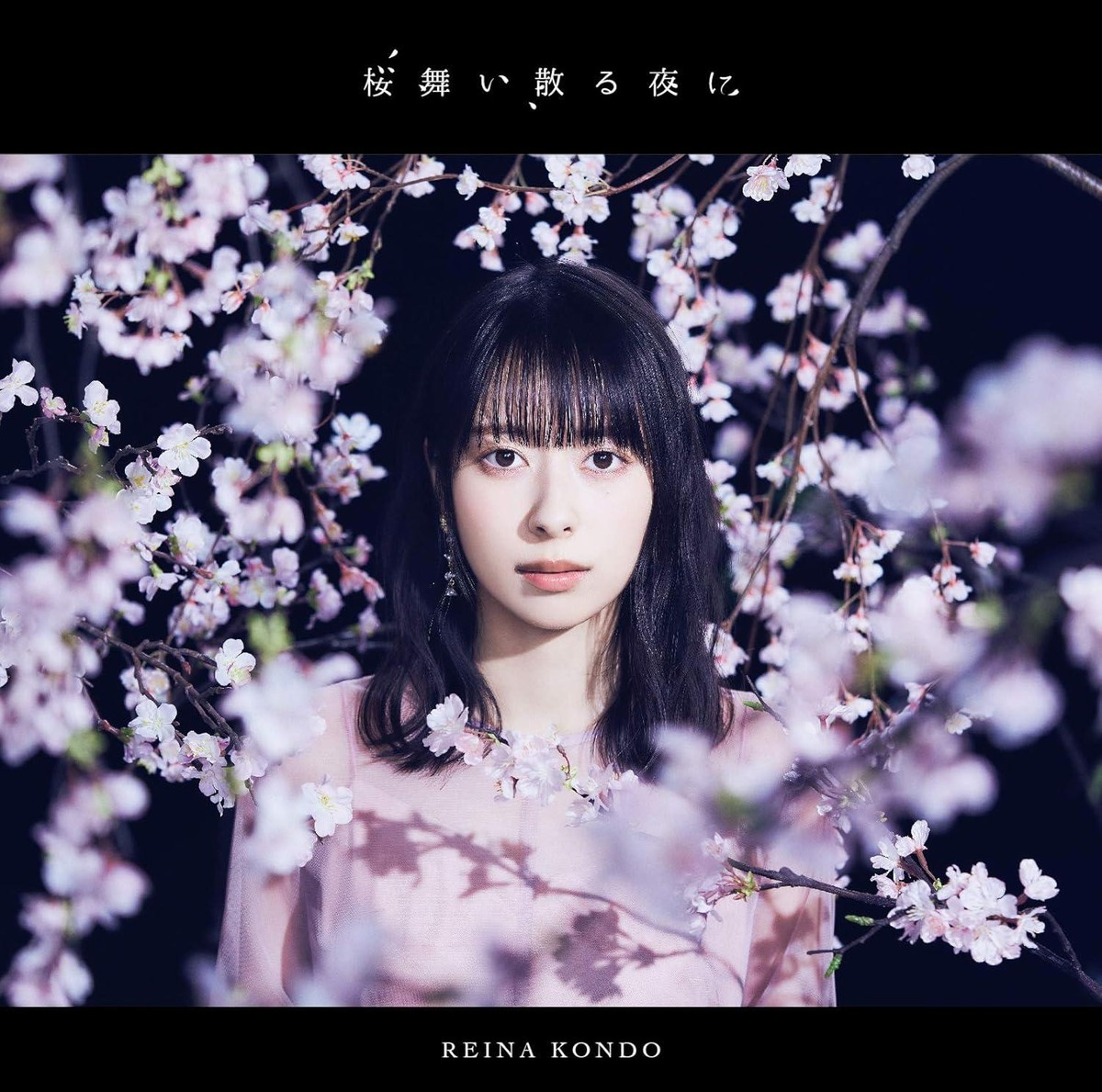 CD Cherry Blossoms Falling on a Night (Limited Edition) Japan