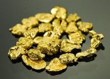 Alaskan Yukon Gold Rush Nuggets #8 Mesh 1/10 Troy Oz 3.1 Grams or 2 DWT 5237.93 per troy oz