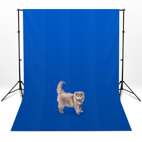 JS JULIUS STUDIO Chromakey Hintergrund 1,5x2,1 M – Wiederverwendbarer Musselin-Stoff Für Foto & Video