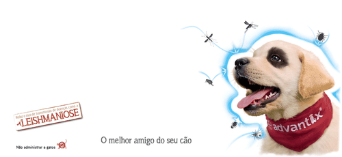 ADVANTIX¹ chien traitement puce tique Leishmaniose Flea 4-10 kg Bte 4 pipettes - 第 4/4 張圖片