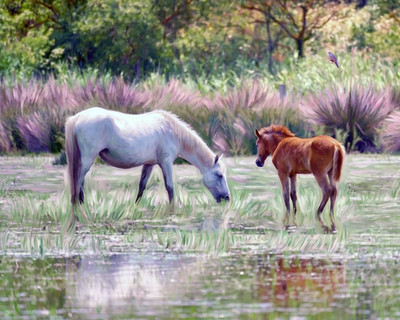 Horse Art White Mare & Foal Wetlands Oil Art Print FREE Shipping 0468