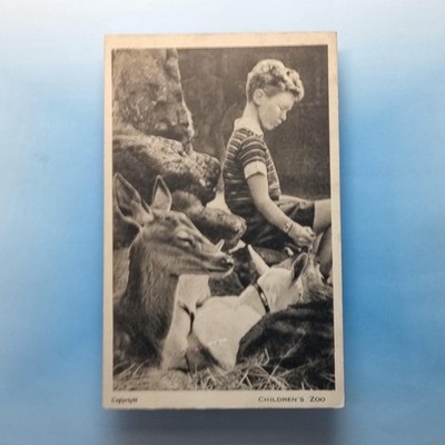 London Zoo Regents Park Postkarte um 1935 Kinder Streichelgehege
