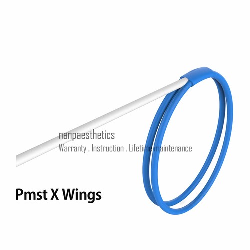 Macchina massaggiatrice uso domestico PMST Loop magnetoterapia PEMF EMTT Physio Magneto - Foto 27 di 29