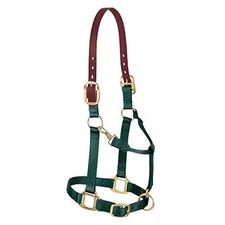 Premium Nylon Horse Halter Large Hunter Green with Leather Breakaway Crown