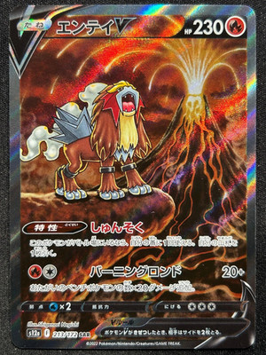 Pokemon Vstar Universe Entei V SAR 213/172 S12a Japanese Alt Art