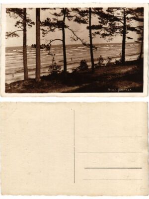 CPA AK RIGA Rigas Jurmala LATVIA (373058)