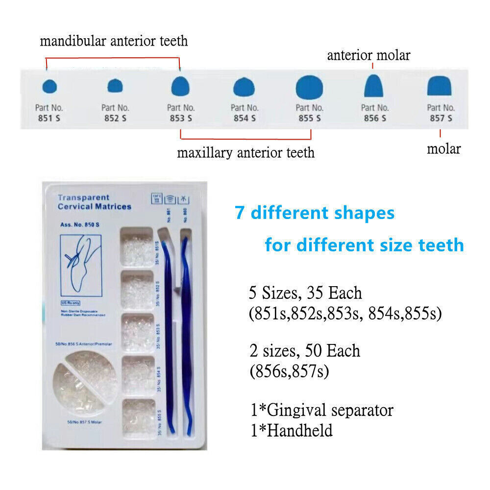 Dental Transparent Cervical Matrices Anterior Sectional Contoured