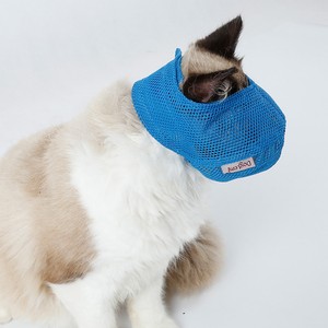 cat mouth muzzle