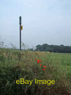 Photo 6x4 Footpath to Paradise Wood Nun Appleton This seldom trod footpat c2006