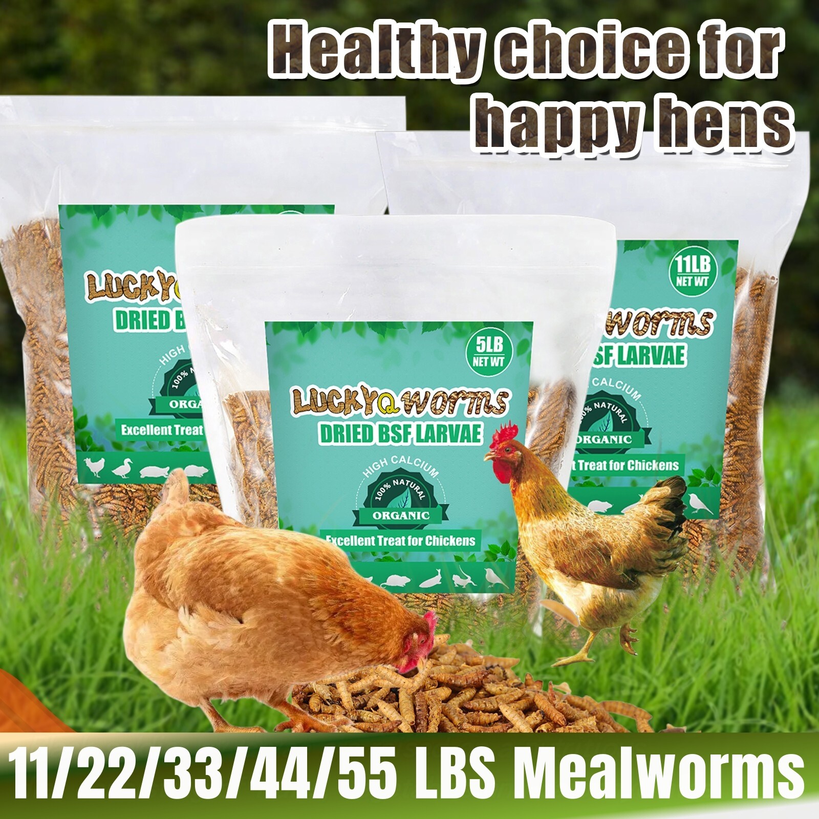 11/22/33/44/55 LBS Dried Mealworms NON-GMO High Protein for Reptiles & Chicken
