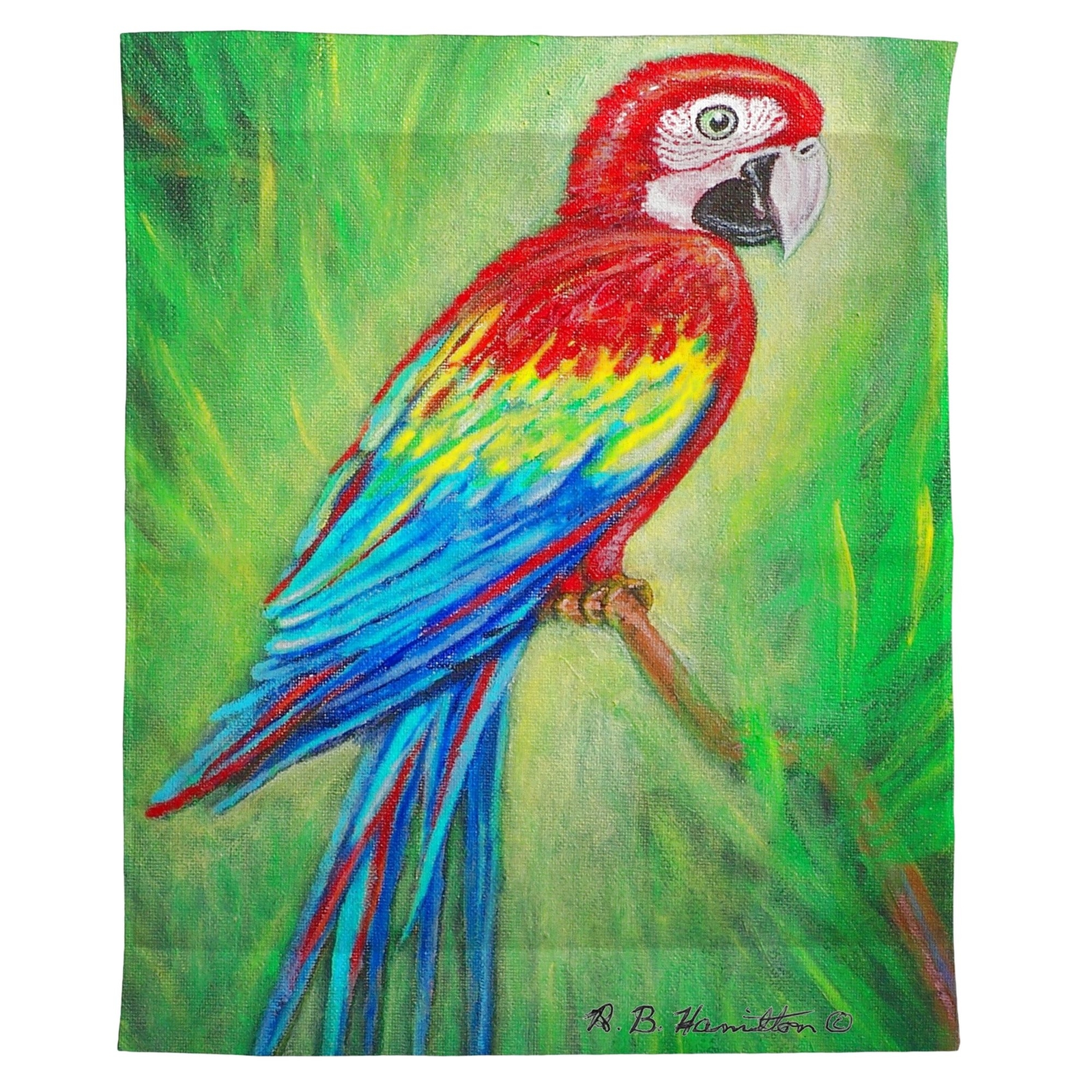 Betsy Drake Red Macaw Outdoor Wall Hanging 24x30