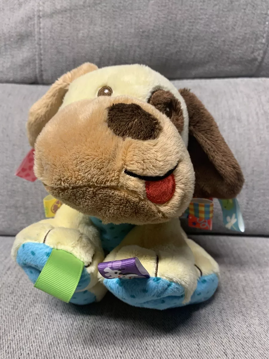 Taggy toy for dogs new arrivals