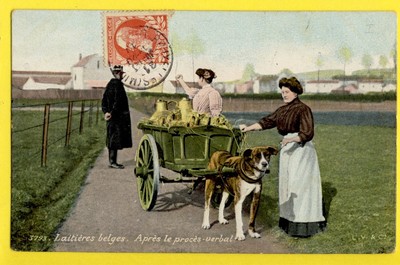 cpa BELGISCHE MILCH Hondenkar HUNDEKUPPLUNG HUNDEWAGEN BELGISCHE MILCH