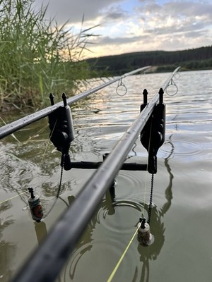   Nash Siren R4 Bissanzeiger 2+1 Set   Mega gepflegt, Top Zustand!