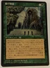 MTG Japanese Asian FBB Magic Card Near Mint SYLVAN LIBRARY 4TH Fourth Edition