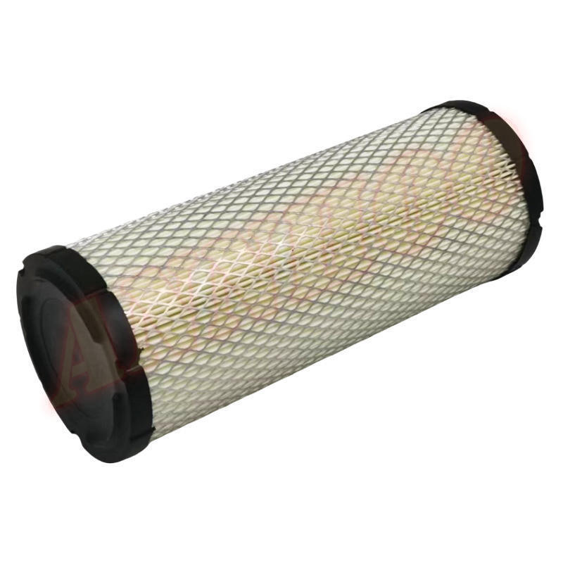 Air Filter Fits Donaldson Wix 46438 M131802 AF25551 CA9550 - Foto 2