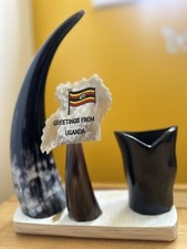 Display Cowhorn ugandese