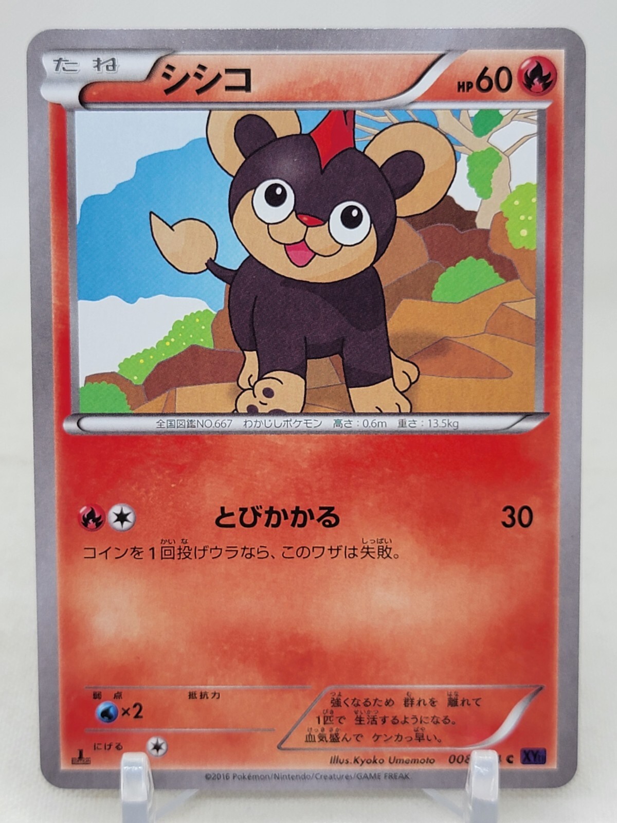Litleo 8/54 1st ED XY11 Explosive Warrior Japanese Pokemon Card