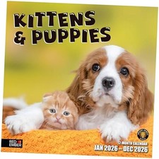 Kittens  Puppies 2026 Wall Calendar 12 Month New 2026 01 - Kittens  Puppies