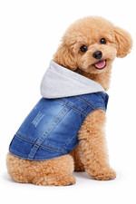 Hoddie Jean For Dog