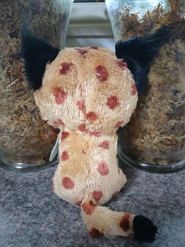 TY Beanie Boo Buckwheat the Lynx 15 cm/6" with Tags - Picture 4 of 6