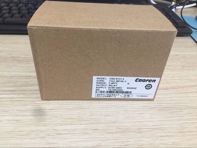 CND-9131-3 1PC New Caoren thermostat   #A6-4#