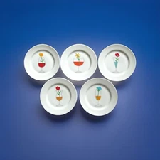 Crate & Barrel 5 Flowered Cocktail Porcelain Appetizer Plates