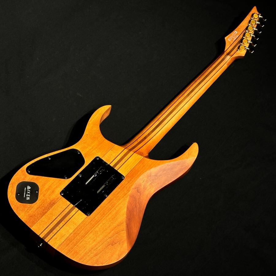 【美品】Ibanez RGT1220PB-ABS Antique Brown Ibanez RGT1220PB ABS Premium - antique brown stain Str shape