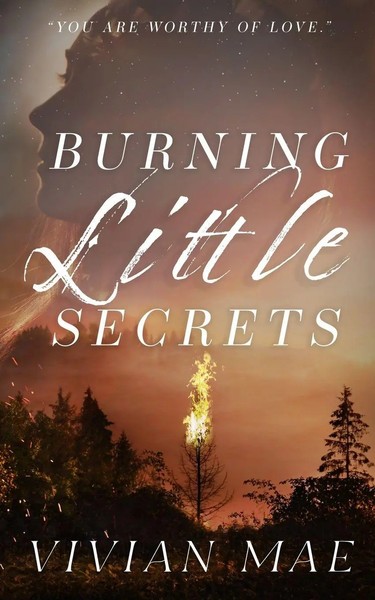 Burning Little Secrets Special Edition Anniversary Cover Vivian Mae Taschenbuch-image