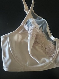 Wacoal Feather Embroidery Full Figure Sheer Sand Underwire Bra 36C #85121 NWT
