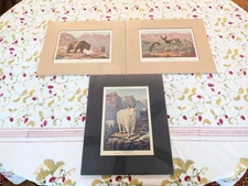 SET OF 3 Robert Lindneux MATTED Chromolithograph Prints Outdoor Life Nature