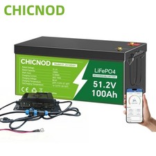 48V Lithium100Ah Bluetooth LiFePO4 Battery BMS 20A 58.4V Charger For Golf Cart