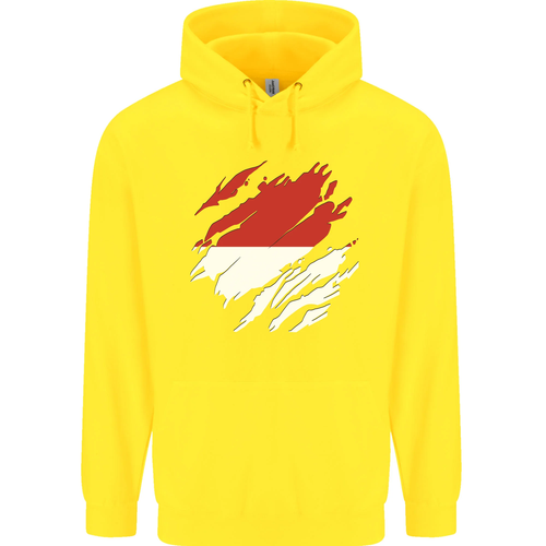 Torn Indonesia Flag Indonesian Day Football Childrens Kids Hoodie - Picture 12 of 76