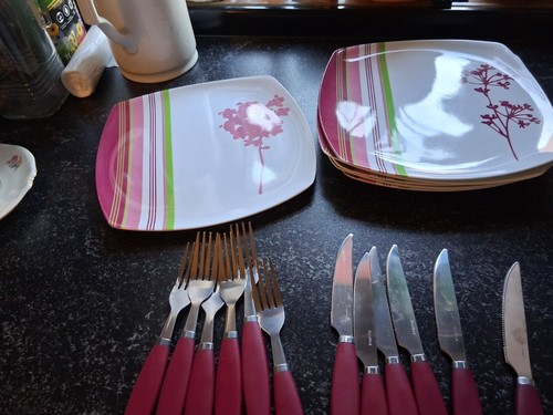 6 Teller und Besteck für Garten und Terrasse
