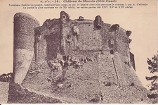 63 * postcard * Auvergne * Château de Murols (west side) * postcard #120